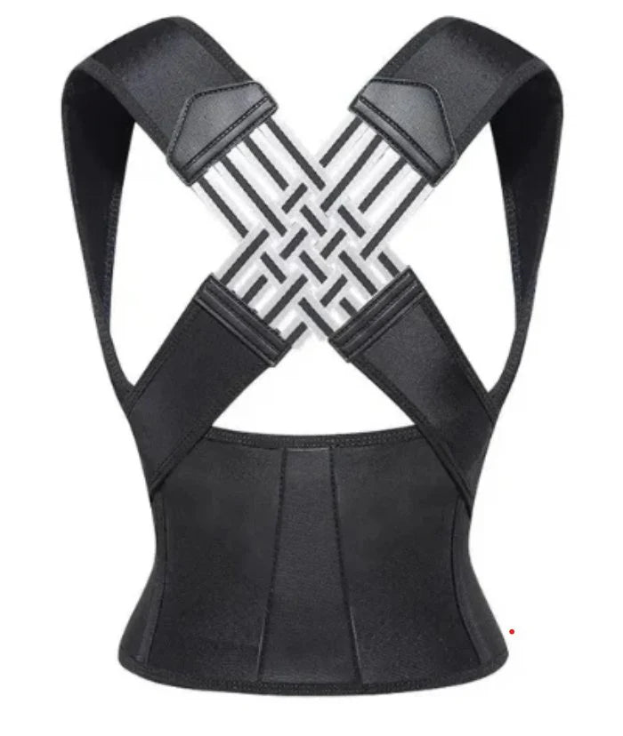 Posture Belt